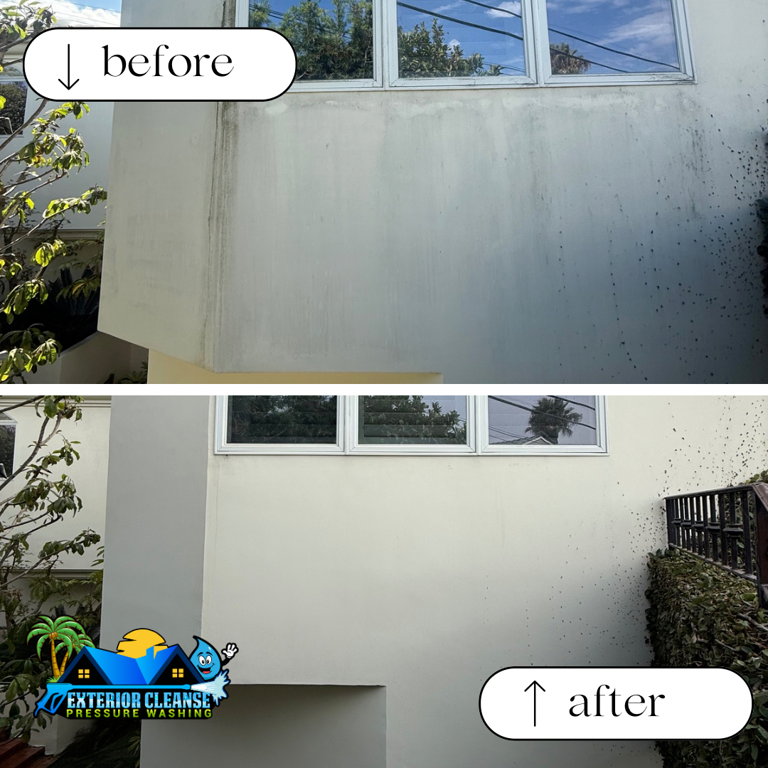 Professional Solar Panel Cleaning and House Wash in Manhattan Beach, CA